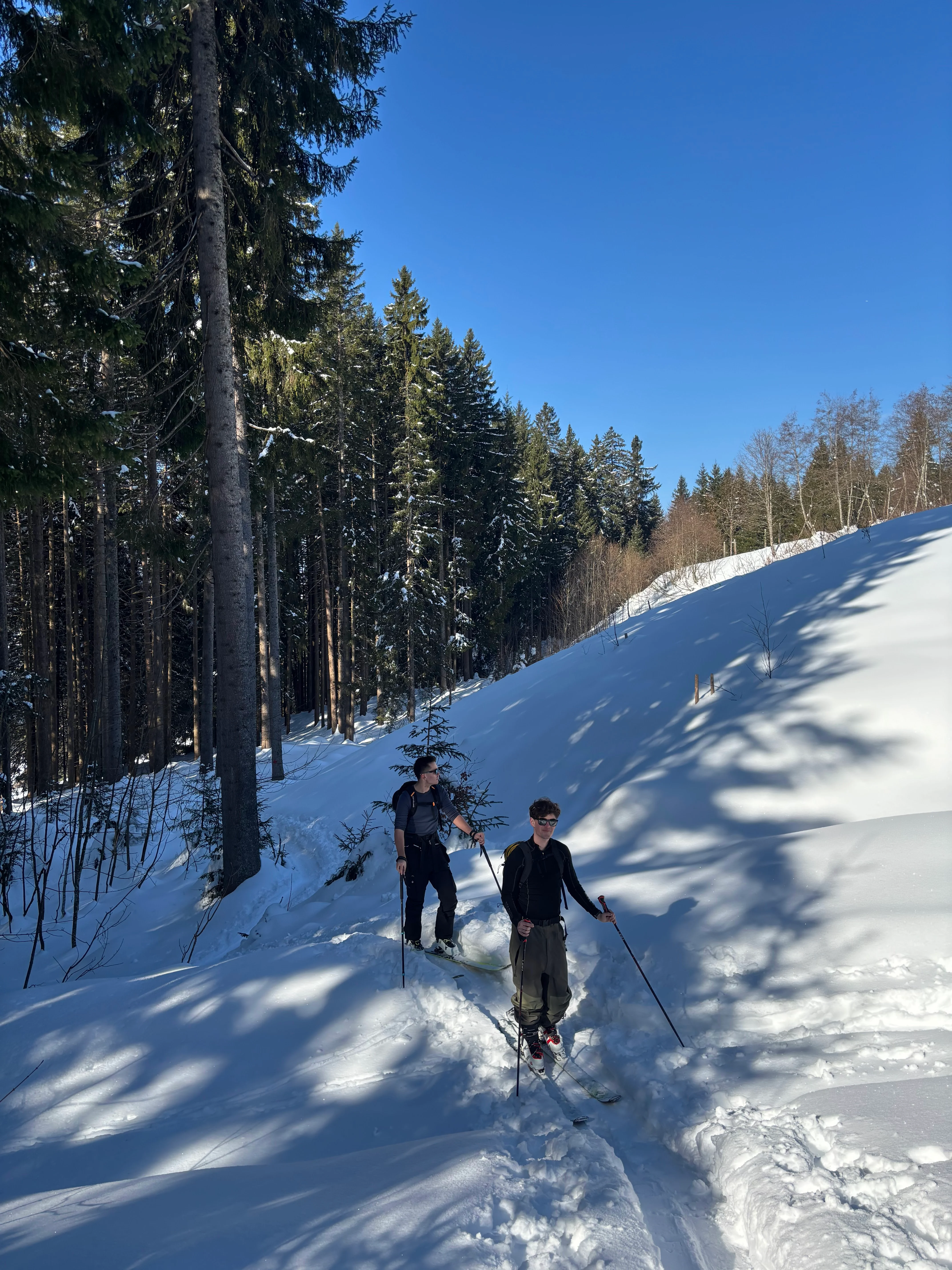 Zwei Skifahrer im verschneiten Wald